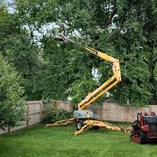 How Our Tree Care Process Works  in  Le Mars, IA